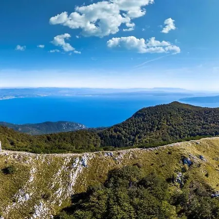 Apartamento Hana Ičići