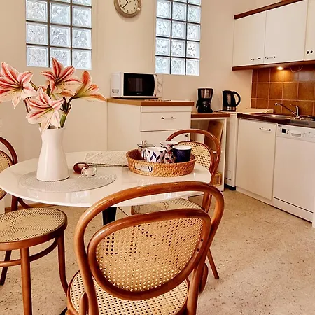 Hana Ičići